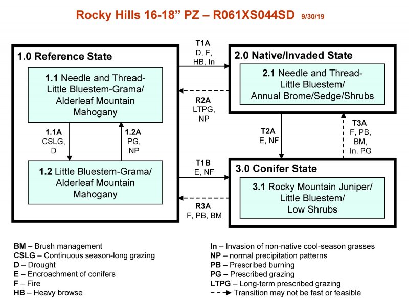 Model diagram