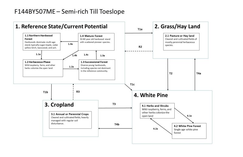 Model diagram