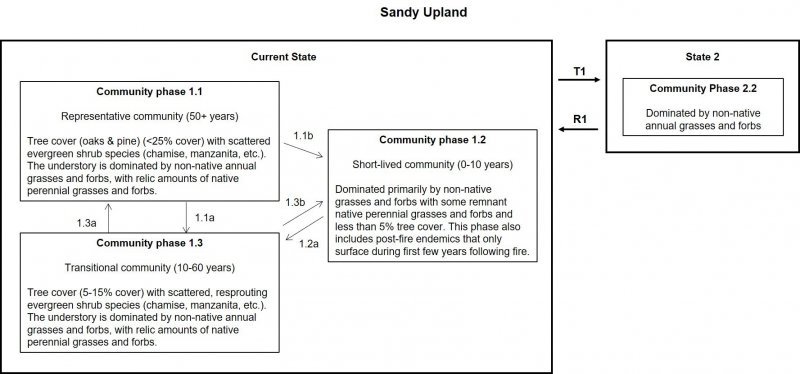 SANDY_UPLAND_STMDiagram
