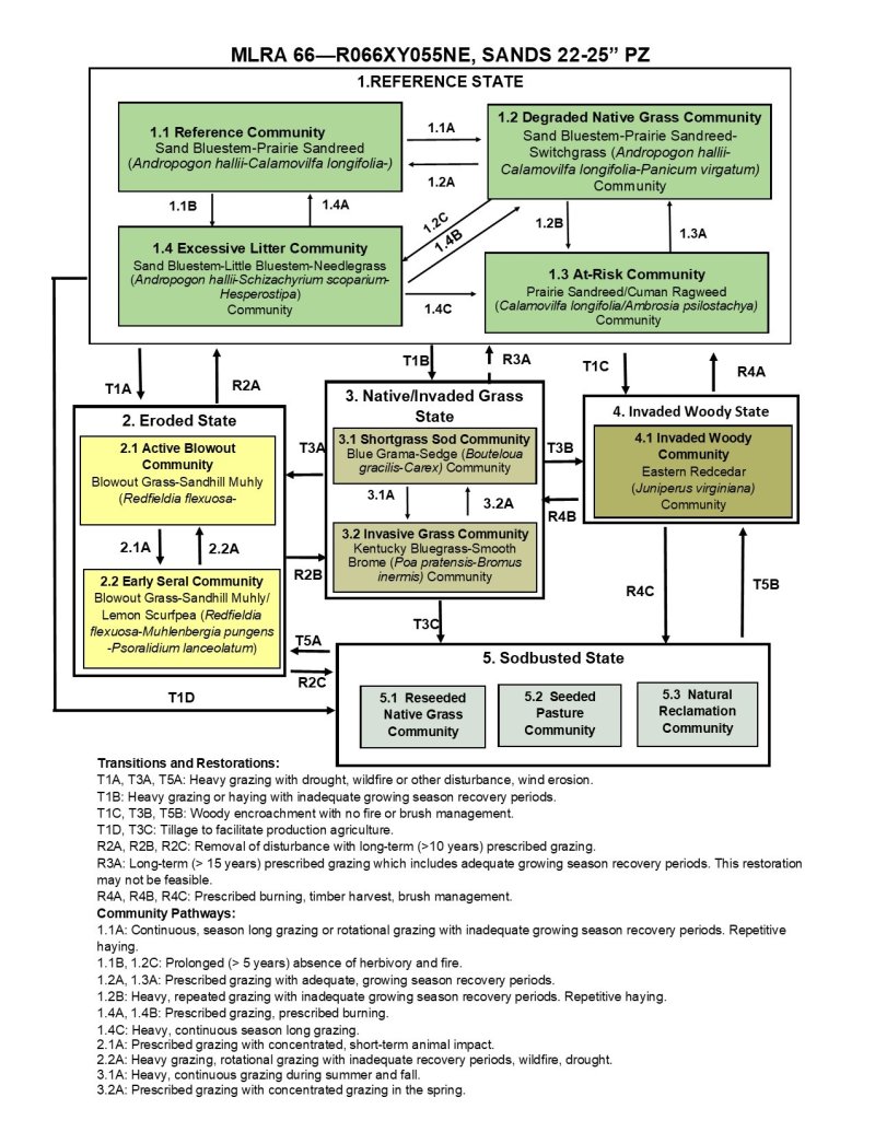 Model diagram