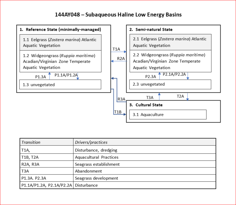 Model diagram