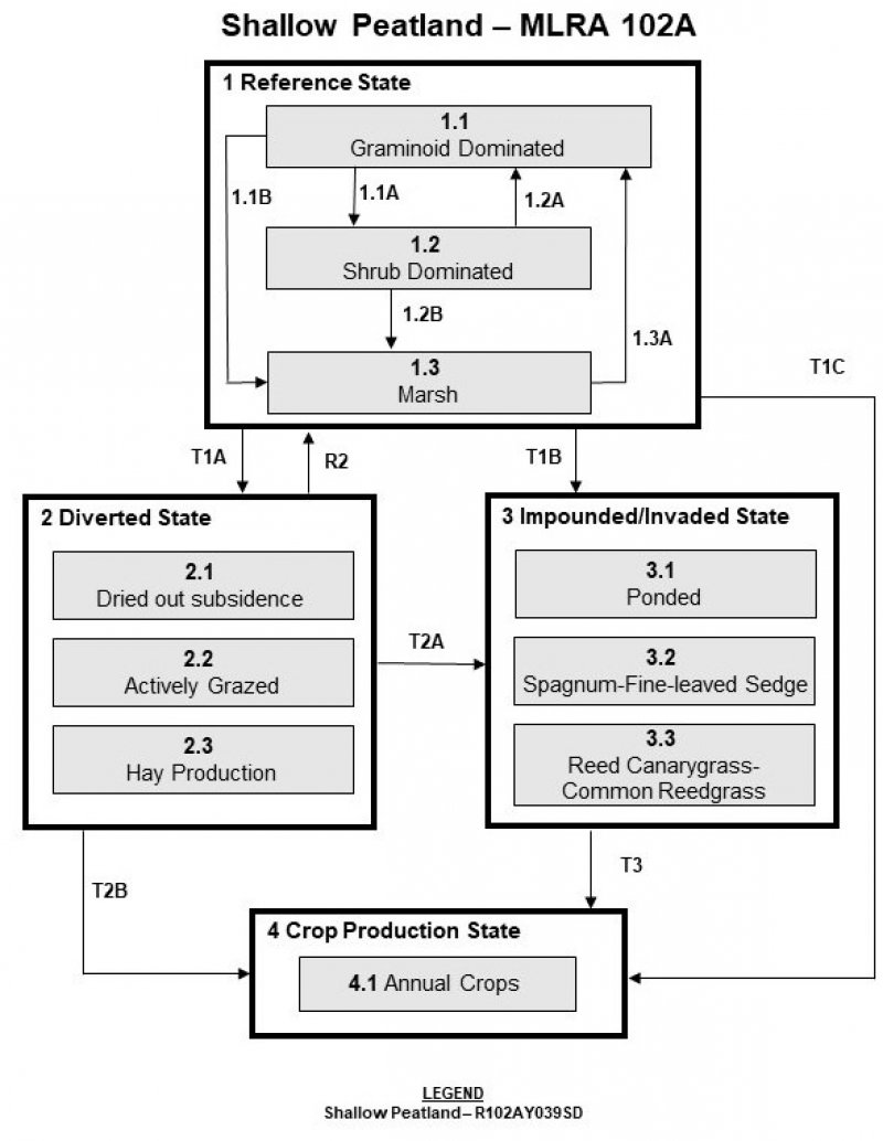 Model diagram