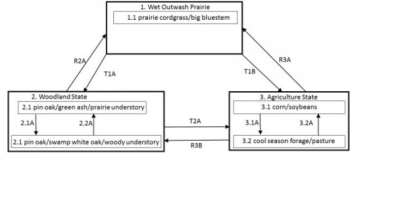 Model diagram