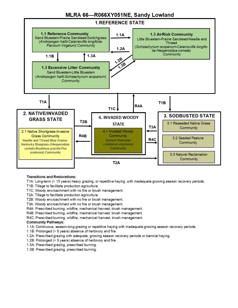 Model diagram