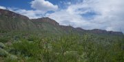 Trans-Pecos Mountains, Plateaus, and Basins