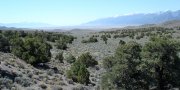 Central Nevada Basin and Range